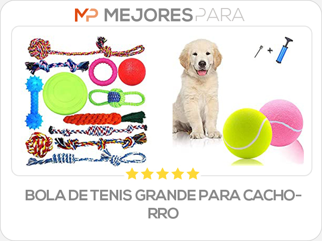 bola de tenis grande para cachorro