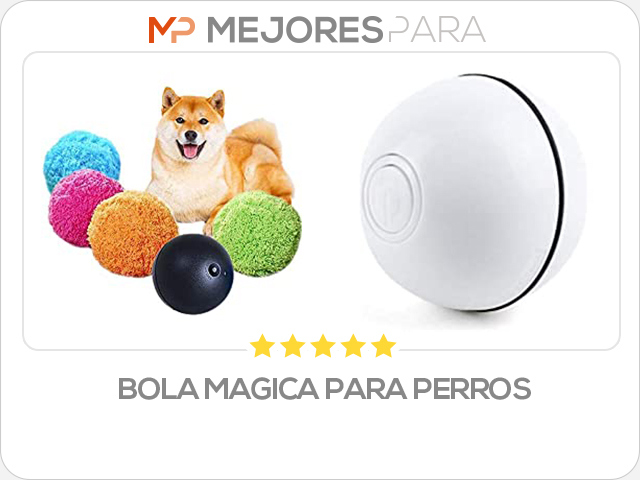 bola magica para perros