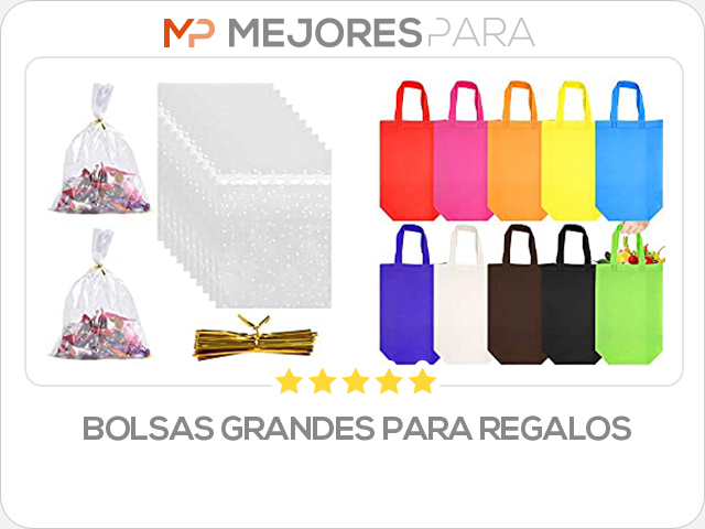 bolsas grandes para regalos