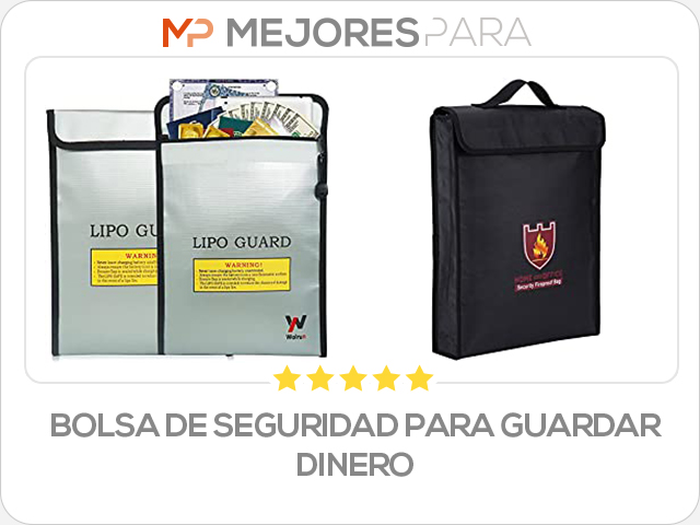 bolsa de seguridad para guardar dinero