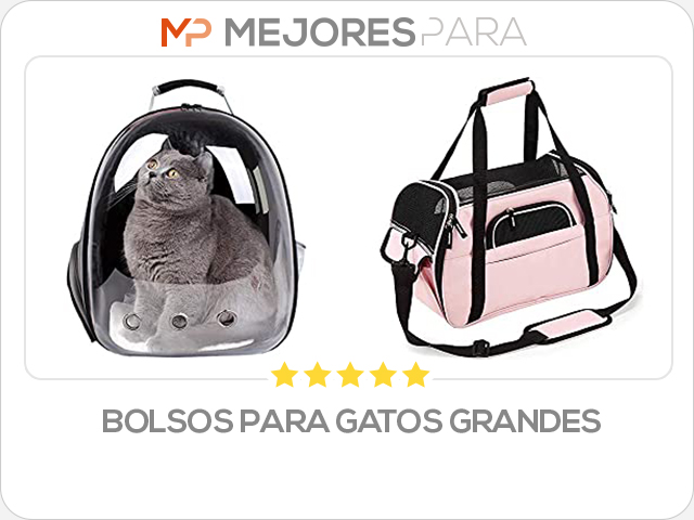 bolsos para gatos grandes