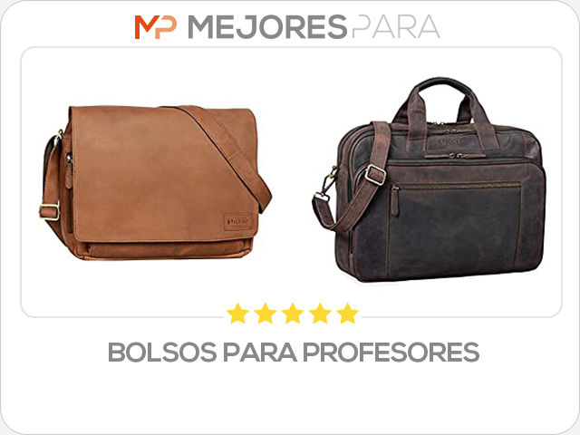 bolsos para profesores