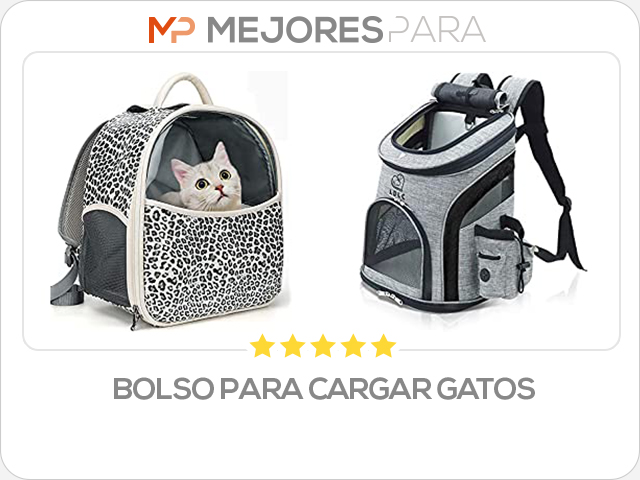 bolso para cargar gatos