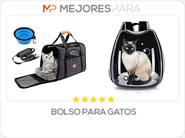 bolso para gatos