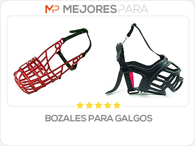 bozales para galgos