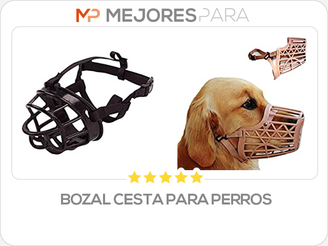 bozal cesta para perros