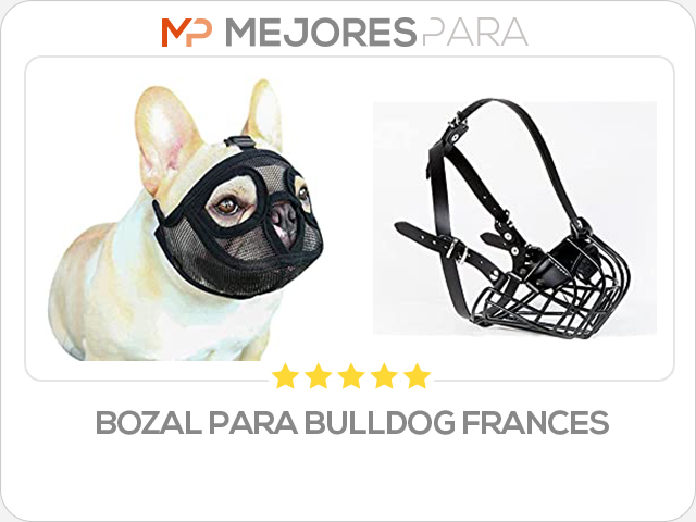 bozal para bulldog frances