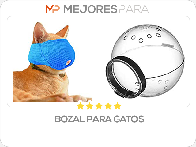 bozal para gatos