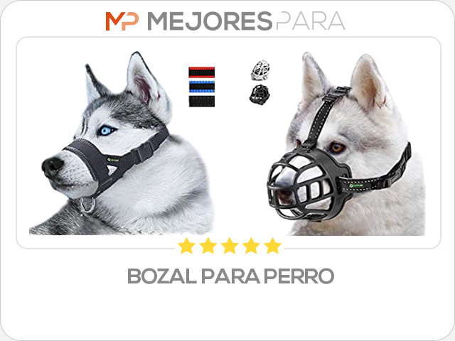 bozal para perro