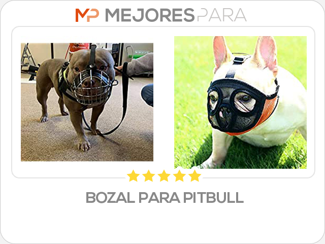 bozal para pitbull