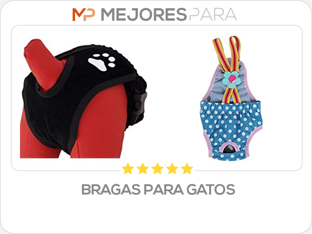 bragas para gatos