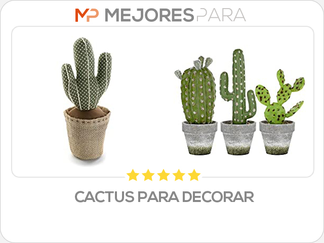 cactus para decorar