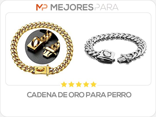 cadena de oro para perro