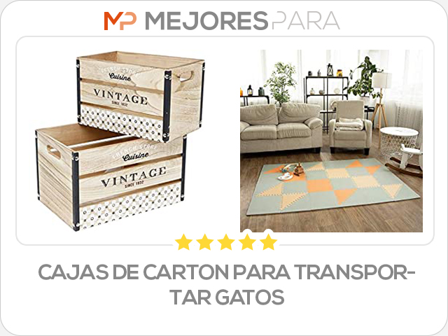 cajas de carton para transportar gatos