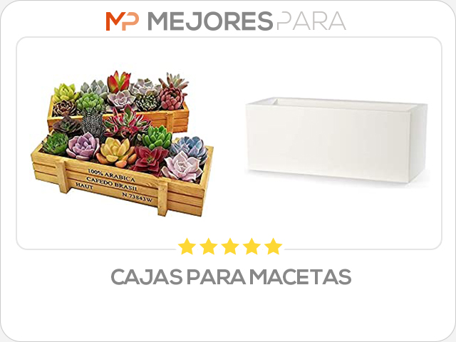 cajas para macetas