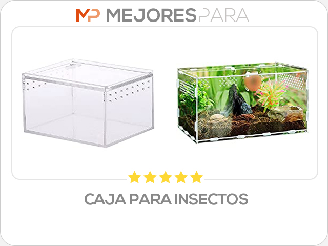 caja para insectos