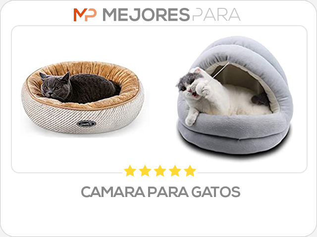 camara para gatos