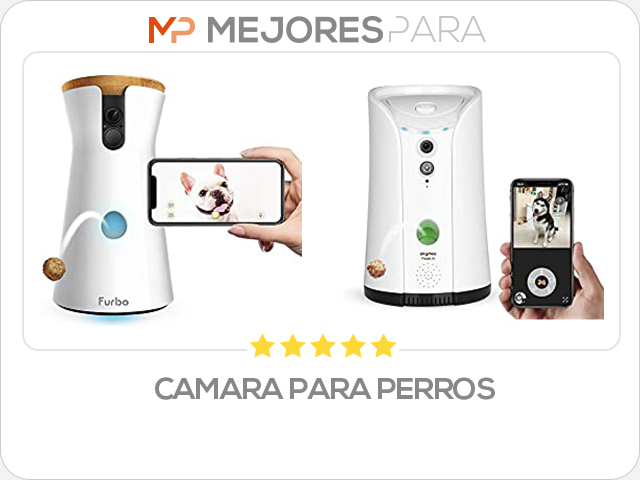 camara para perros