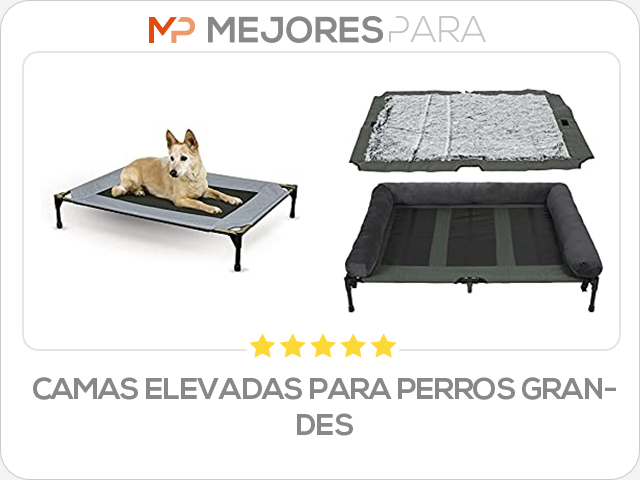 camas elevadas para perros grandes