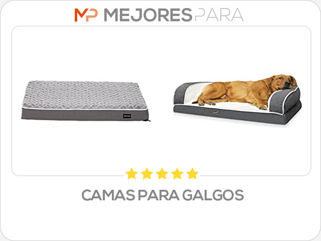 camas para galgos