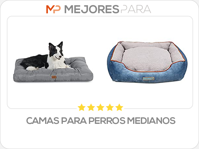 camas para perros medianos