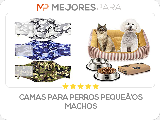 camas para perros pequeños machos