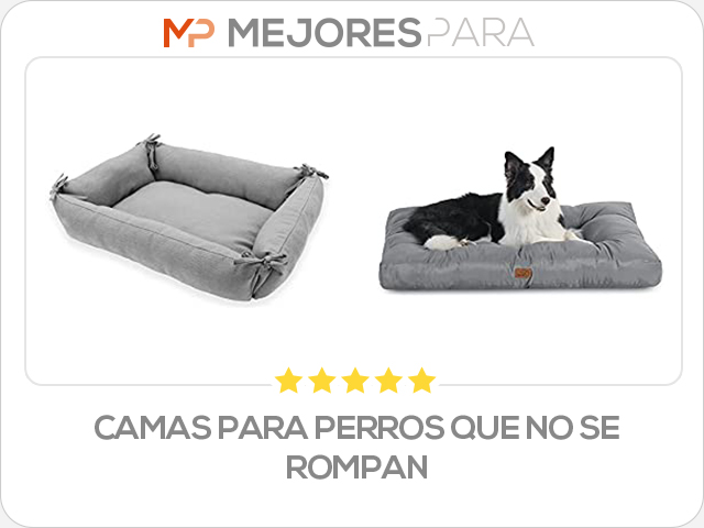 camas para perros que no se rompan