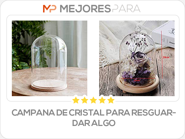 campana de cristal para resguardar algo