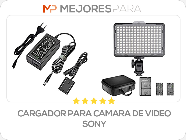 cargador para camara de video sony