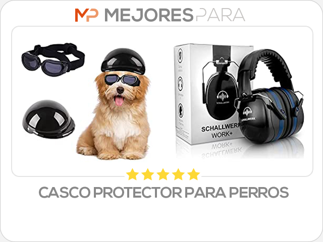 casco protector para perros