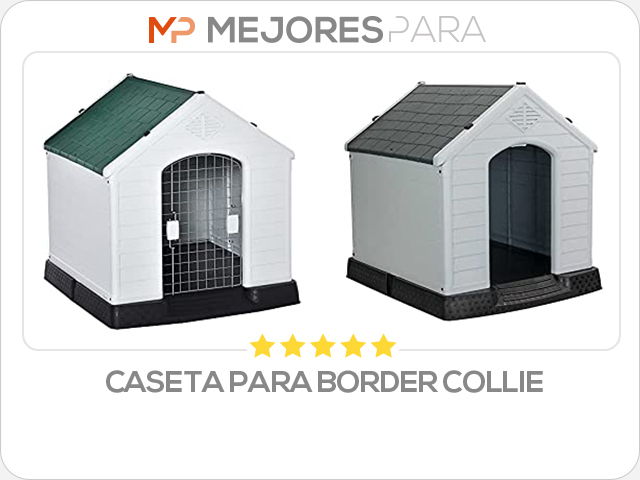 caseta para border collie