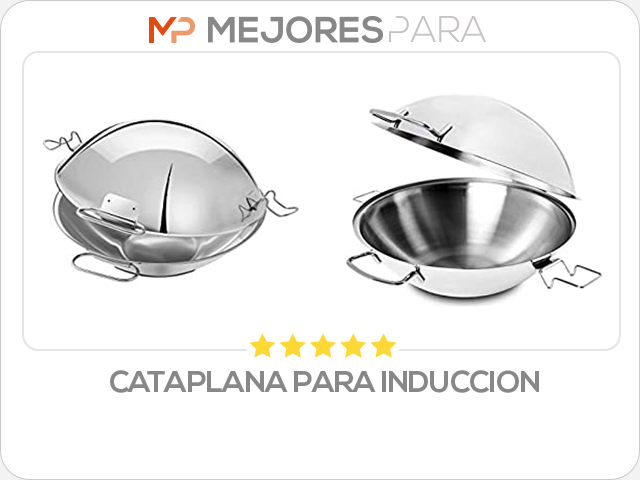 cataplana para induccion