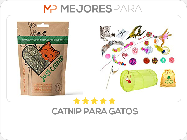 catnip para gatos