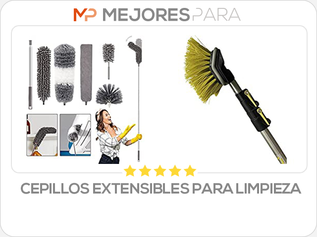 cepillos extensibles para limpieza