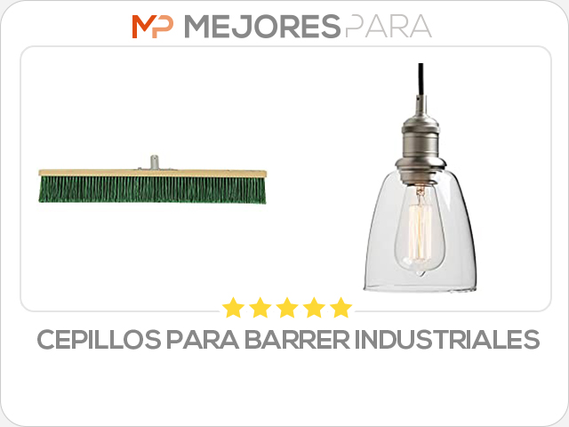 cepillos para barrer industriales