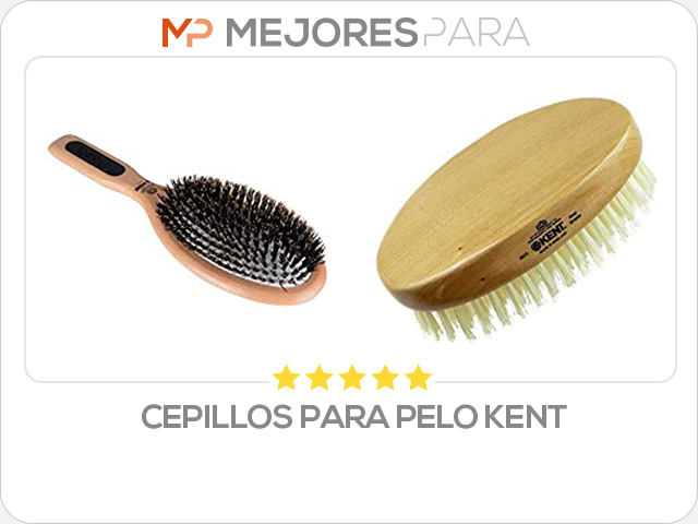 cepillos para pelo kent