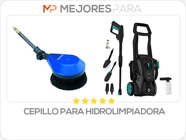 cepillo para hidrolimpiadora