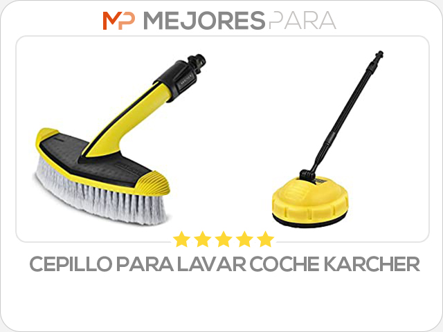 cepillo para lavar coche karcher