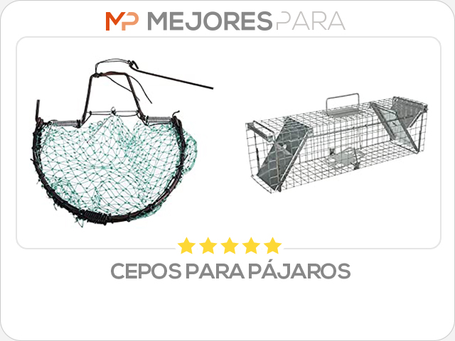 cepos para pájaros