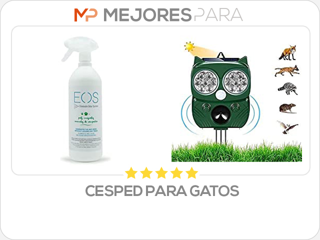 cesped para gatos