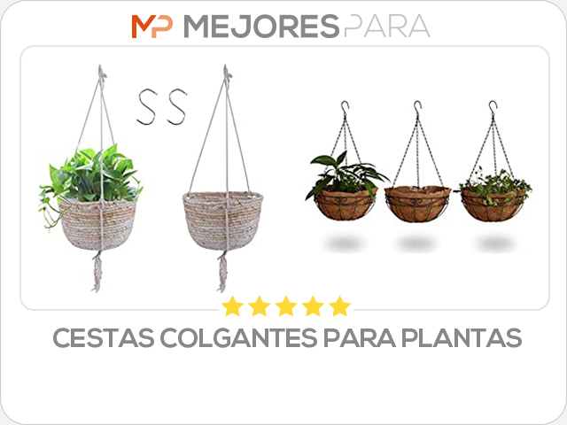 cestas colgantes para plantas