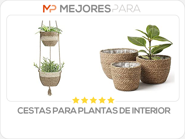 cestas para plantas de interior