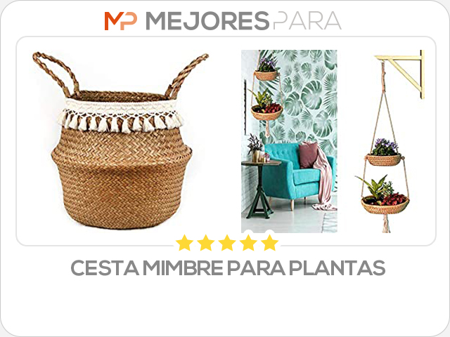 cesta mimbre para plantas