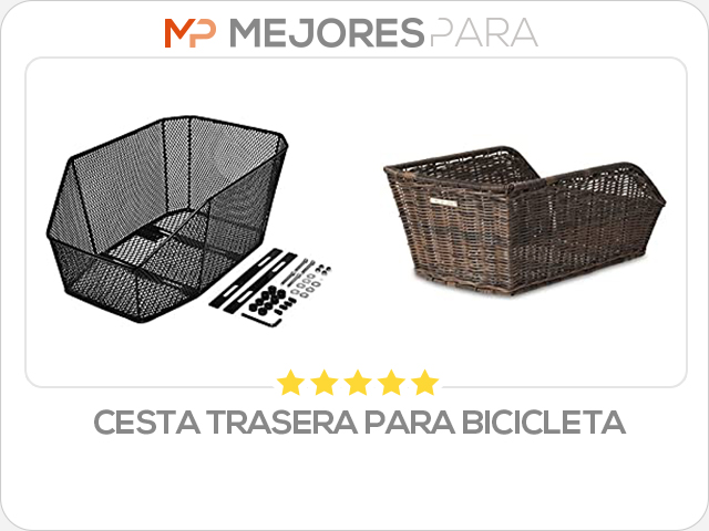 cesta trasera para bicicleta