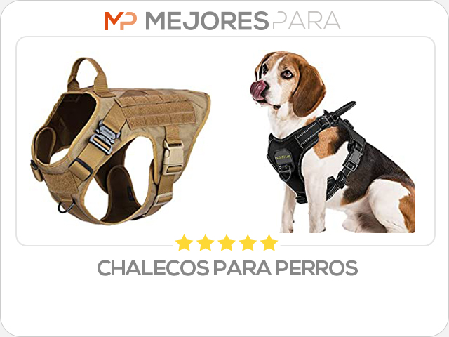 chalecos para perros