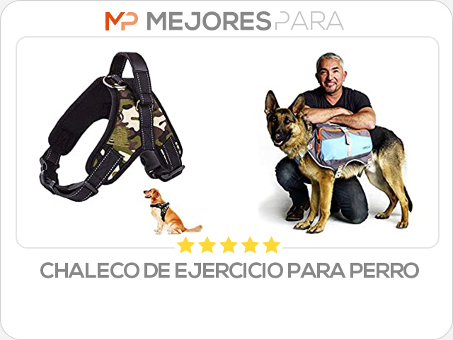 chaleco de ejercicio para perro