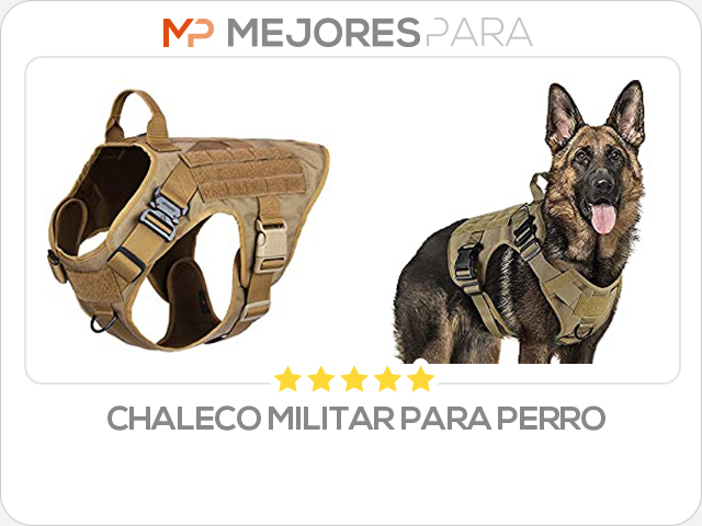 chaleco militar para perro