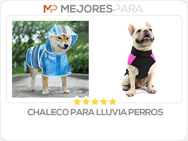 chaleco para lluvia perros