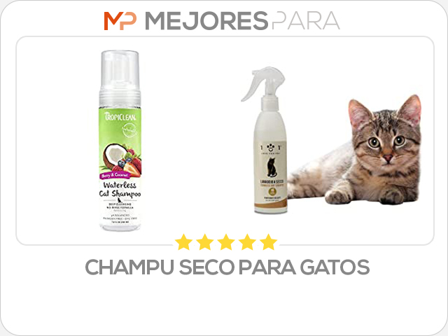 champu seco para gatos