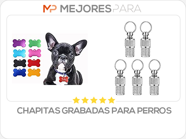 chapitas grabadas para perros